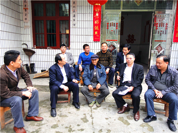劉廳長在茶安鋪七里沖調研1.JPG